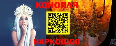 сатива Новозыбков