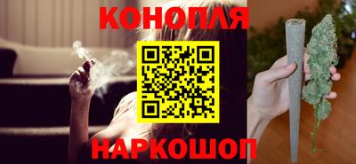 сатива Новозыбков