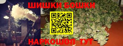 сатива Новозыбков