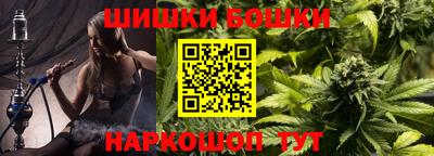 сатива Новозыбков