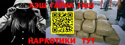 сатива Новозыбков