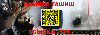 сатива Новозыбков