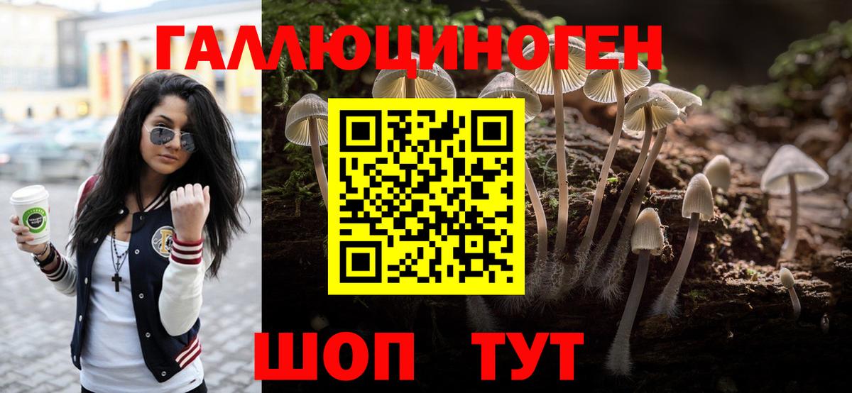Псилоцибиновые грибы Psilocybine cubensis Орёл